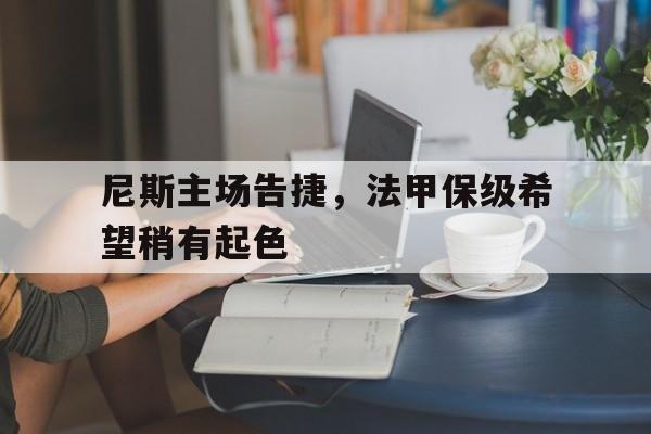 尼斯主场告捷，法甲保级希望稍有起色的简单介绍