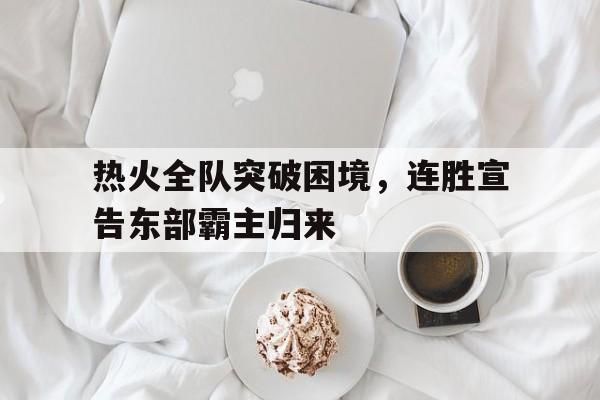 热火全队突破困境，连胜宣告东部霸主归来的简单介绍